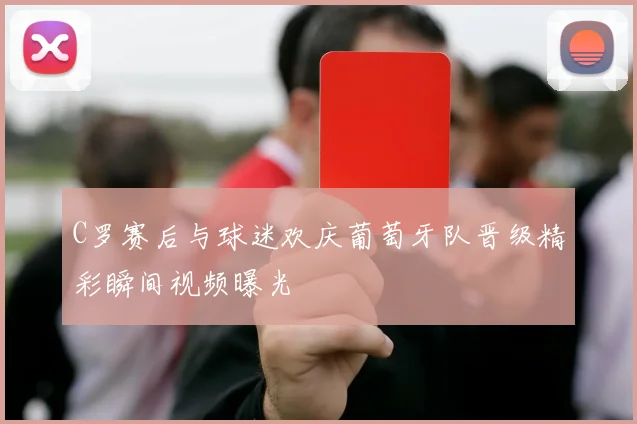 C罗赛后与球迷欢庆葡萄牙队晋级精彩瞬间视频曝光